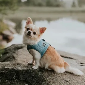 Cooling Dog Vest