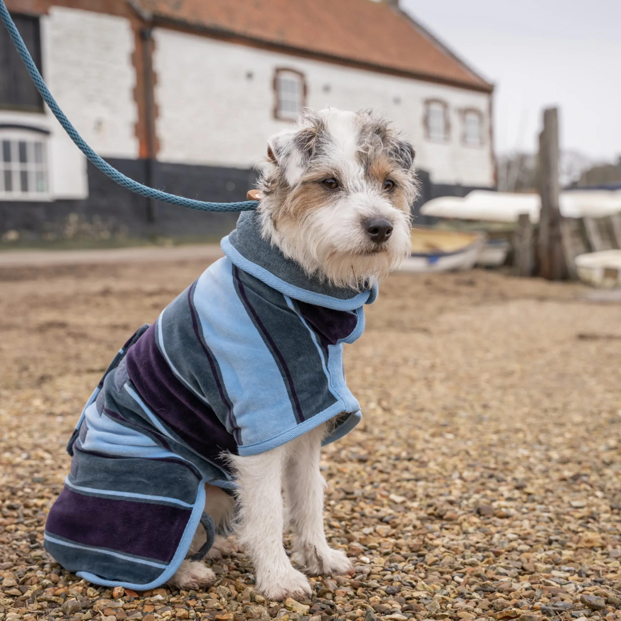 Dog Drying Coat - Design Collection