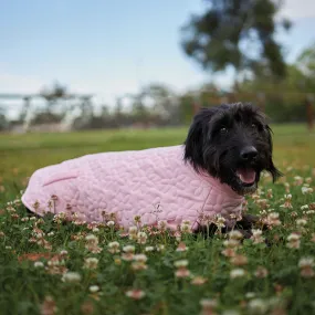 Flower Dog Jacket - Pink