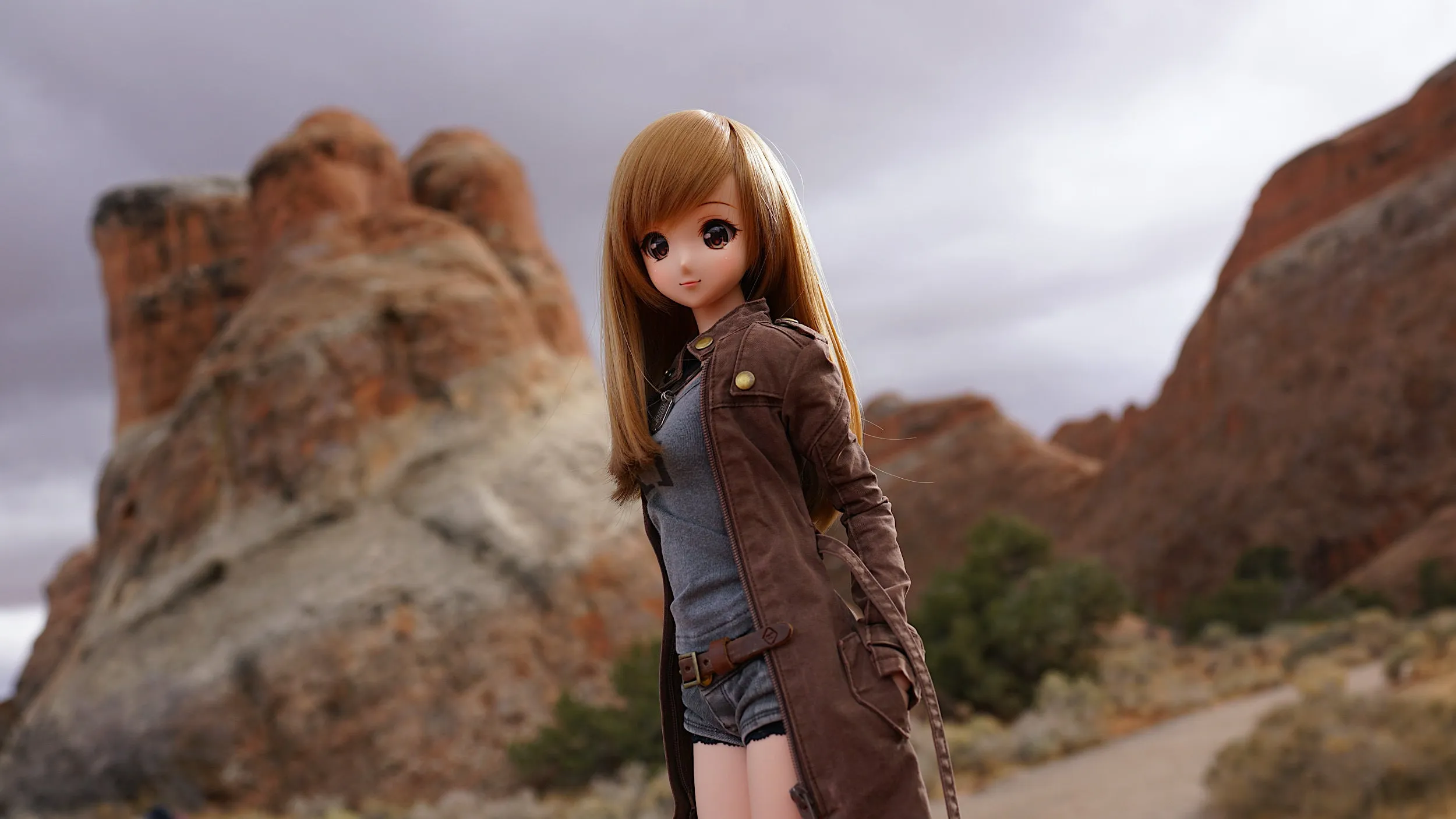 Wasteland Jacket (Brown)